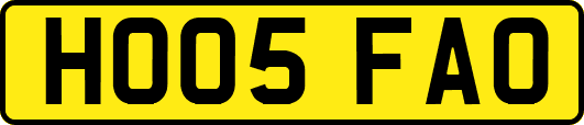HO05FAO