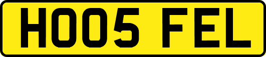 HO05FEL