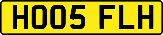 HO05FLH