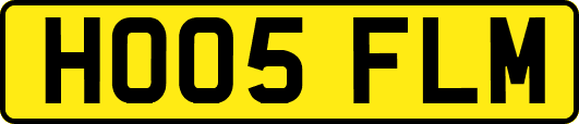 HO05FLM