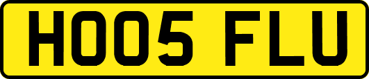 HO05FLU