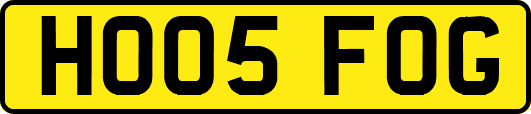 HO05FOG