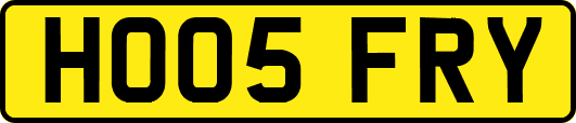 HO05FRY