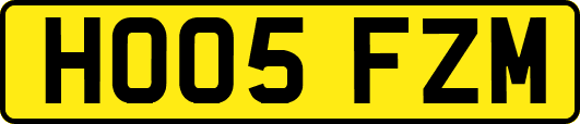 HO05FZM