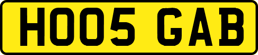 HO05GAB