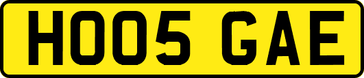 HO05GAE