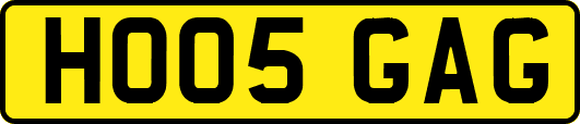 HO05GAG