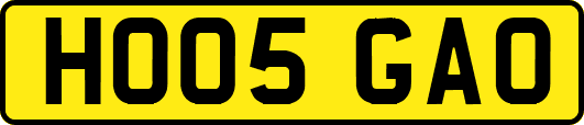HO05GAO