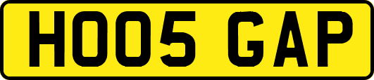 HO05GAP