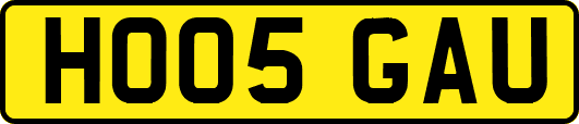HO05GAU