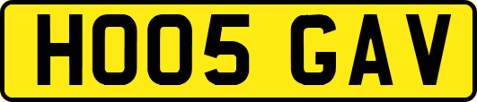 HO05GAV