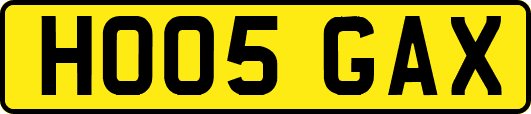 HO05GAX