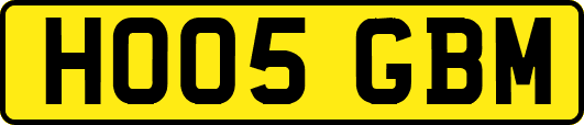 HO05GBM