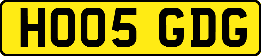 HO05GDG