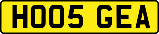 HO05GEA