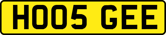 HO05GEE