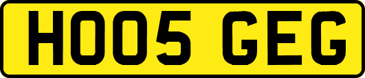 HO05GEG