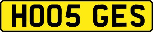 HO05GES