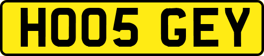 HO05GEY