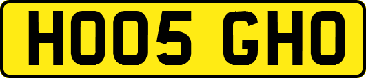 HO05GHO