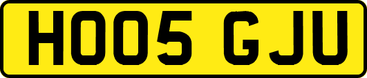 HO05GJU