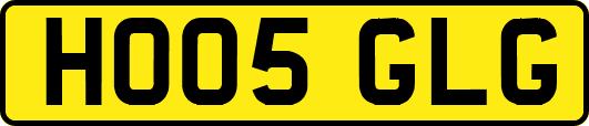 HO05GLG