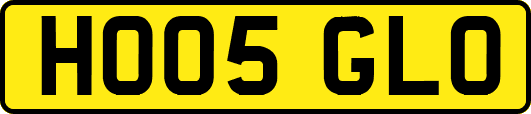 HO05GLO