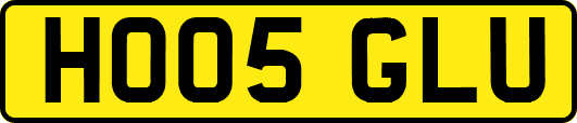 HO05GLU