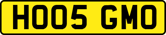 HO05GMO