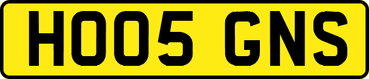 HO05GNS