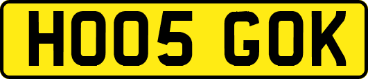 HO05GOK