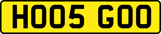 HO05GOO