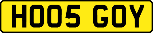 HO05GOY