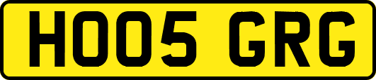 HO05GRG