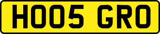 HO05GRO