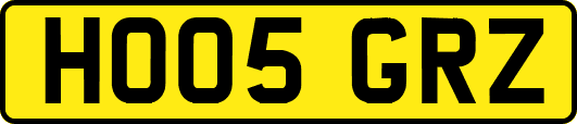 HO05GRZ