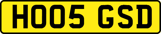 HO05GSD