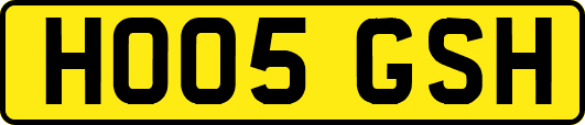 HO05GSH