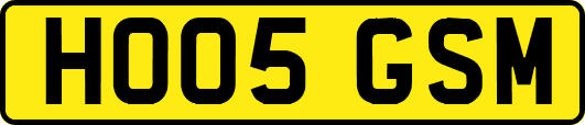 HO05GSM
