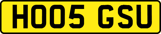 HO05GSU