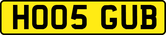HO05GUB