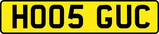 HO05GUC