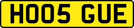 HO05GUE