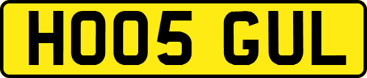 HO05GUL
