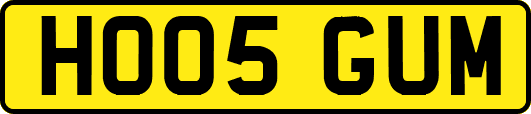 HO05GUM