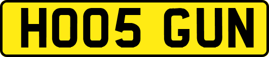 HO05GUN