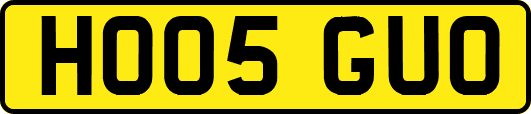 HO05GUO