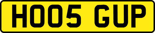 HO05GUP