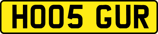 HO05GUR