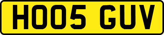 HO05GUV